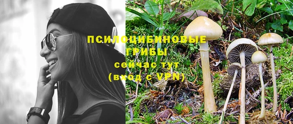 бутират Надым
